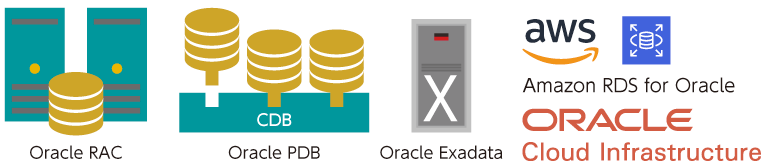 PDBやRACなどOracle特有の環境、構成にも対応