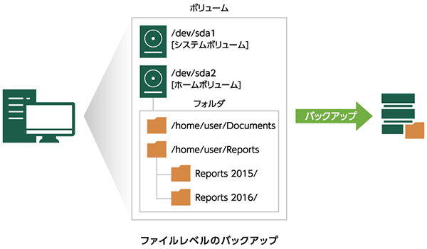 ファイルレベル